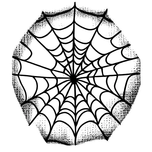 Spider Web