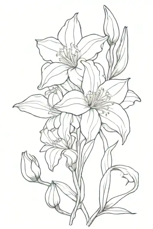 Carnation Flower Daffodil Flower And Lily Flowers Intertwined