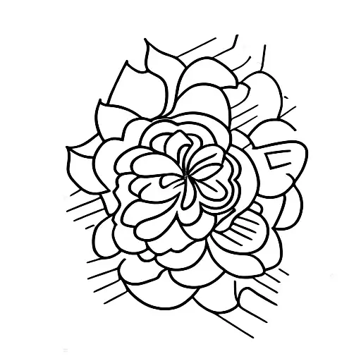 Flower Blooming In A Dark Room