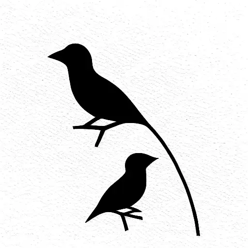 2 Silhouett Finch Birds And 1 Small Finch Bird Standing Side By Side
