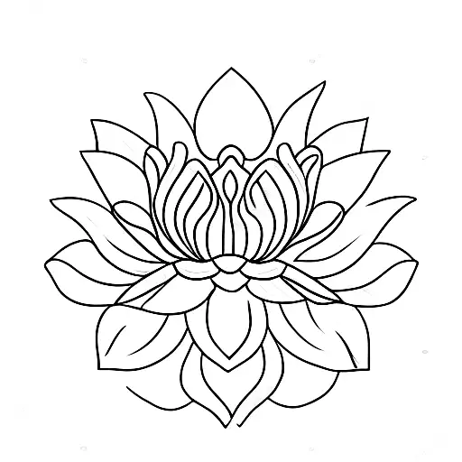Lotus Flower