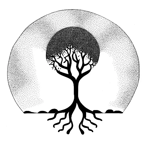 Sunset And Sea And Forest Tree