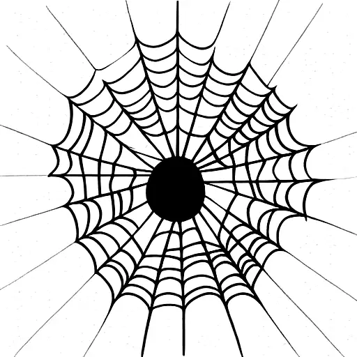 Spider Web