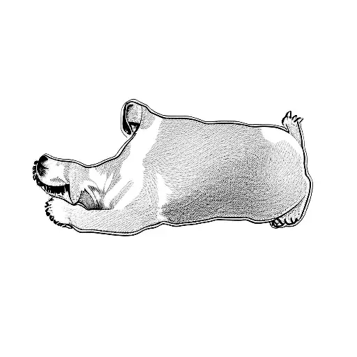 A Beagle Dog Standing On Its Back Paws Looing At Thr Sky