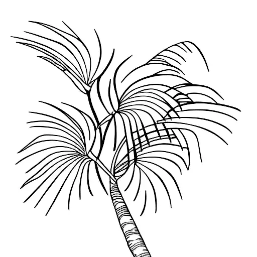Palm Tree