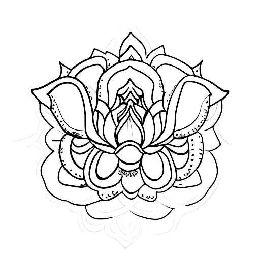 Lotus Flower
