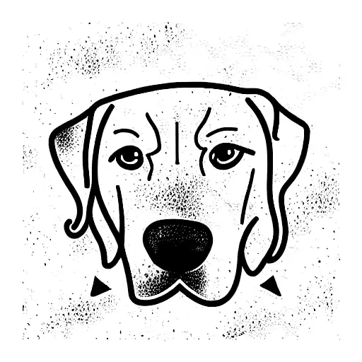 Golden Retriever Dog Named Thor