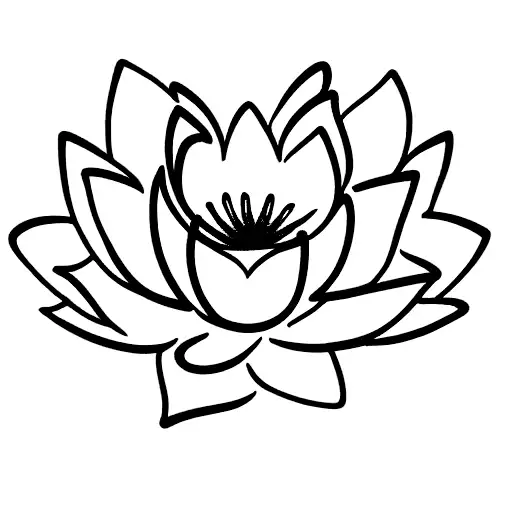 Lotus Flower