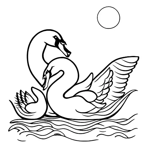 Mother And Baby Swan