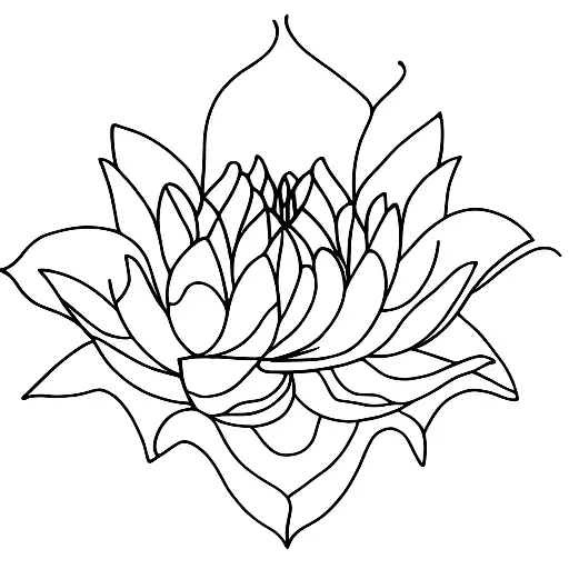 Lotus Flower