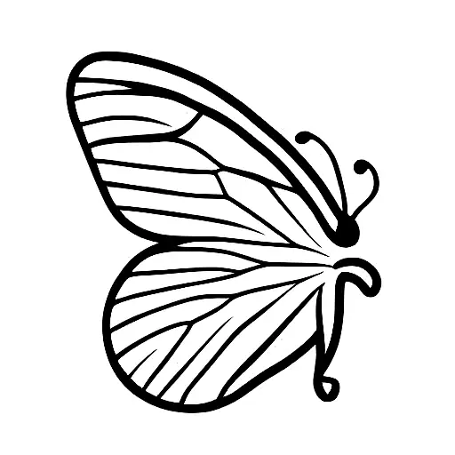 Blue Tiger Butterfly