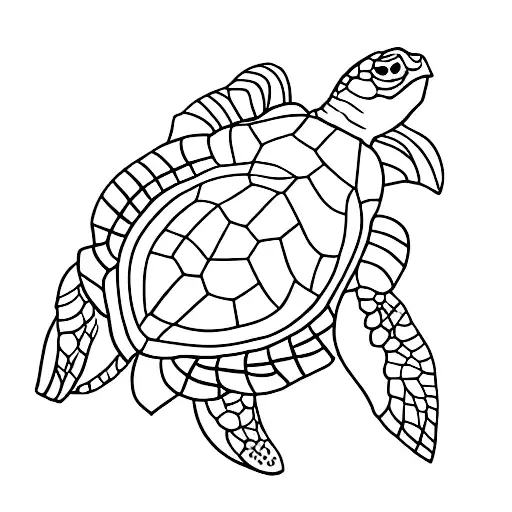 Turtle