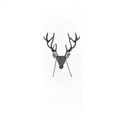 A Deer With Horns