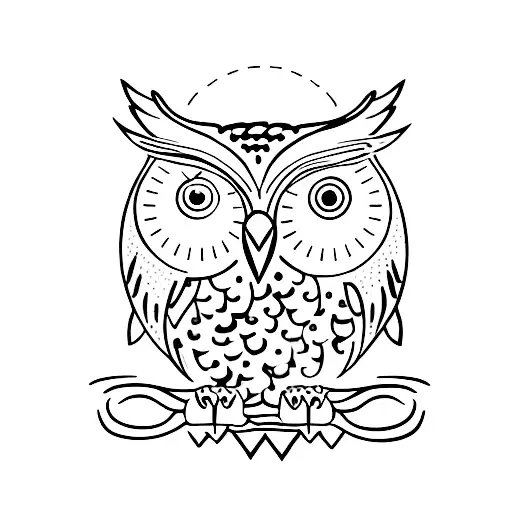 Owl On An Olive Branch