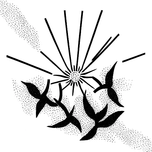 Cherry Blossoms With Sun