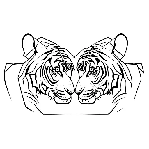 A Tiger And Bear Fighting