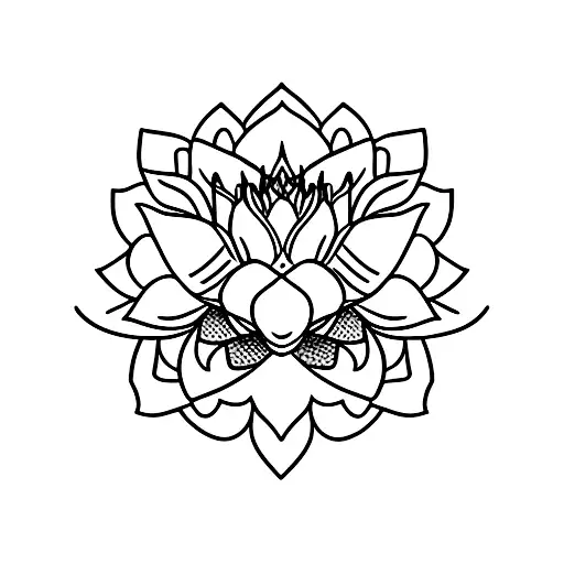 Lotus Flower