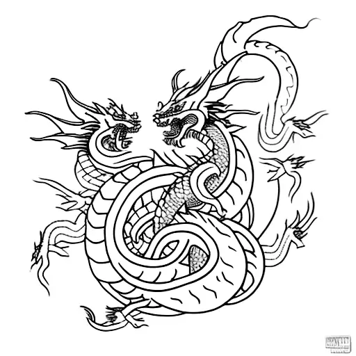 Shenron And Haku Dragon Combination