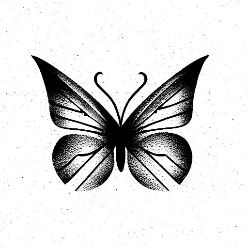 Moon Phase With Overlaying Butterfly Wings