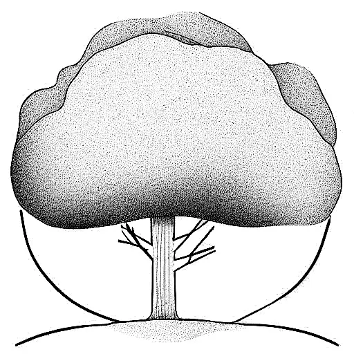 Outline Of A Torogoz Sitting On A Tree