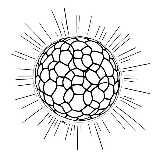 Soccer Ball Transforming Into A Mermaid