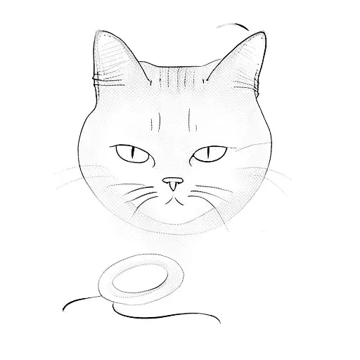 A Black Cat In A Dark Room