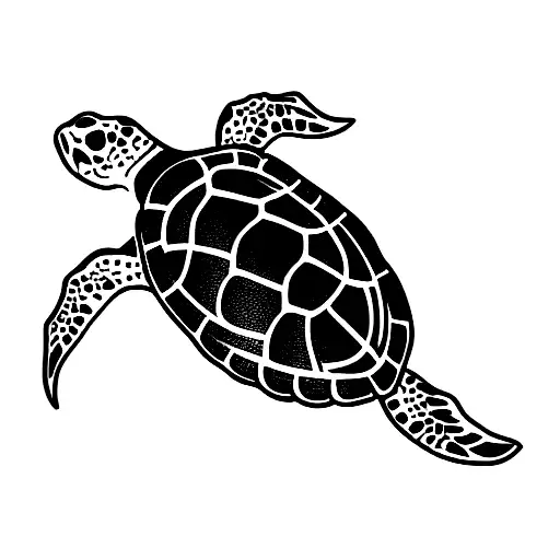 Sea Turtle With Lines