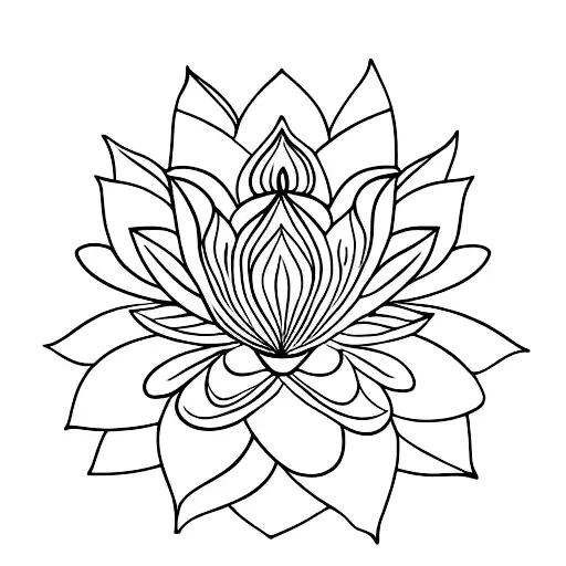 Lotus Flower
