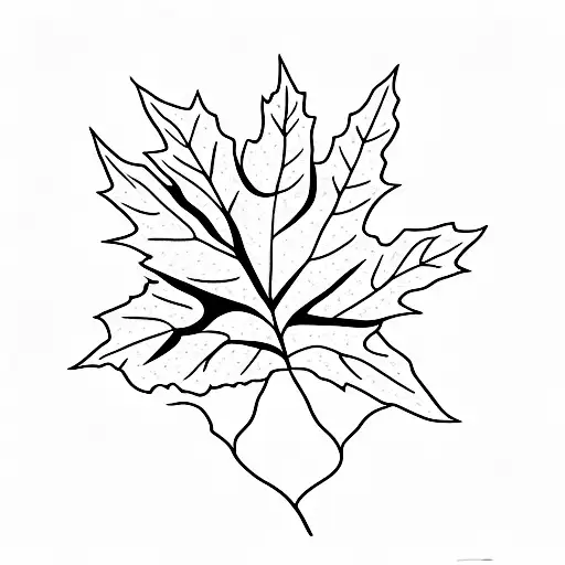 Maple Leaf