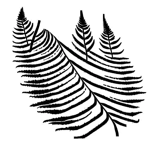 Fern Tree