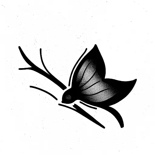 Cardinal And Blue Butterfly