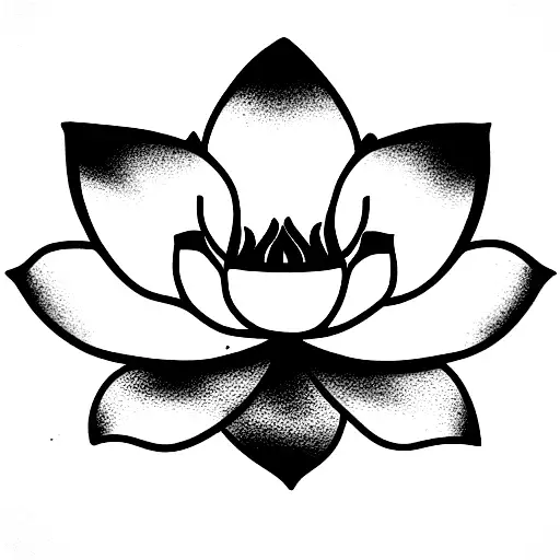 Lotus Flower