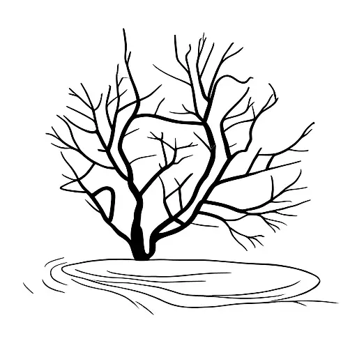 Three Tree Silhouette