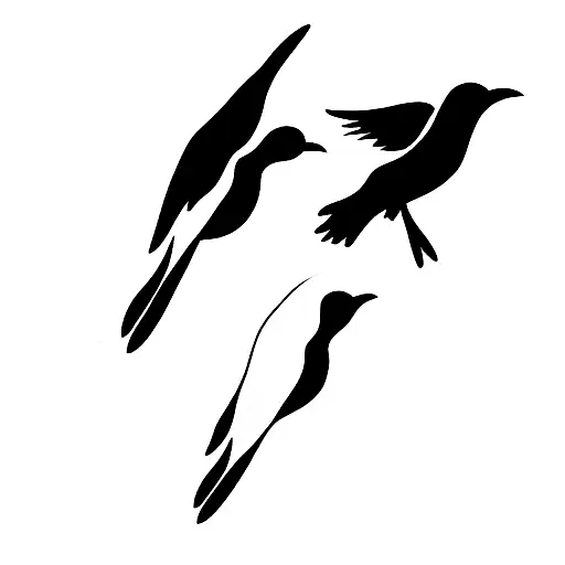 Flock Of Black Birds Flying In The Same Direction With One Larger Bird In The Middle