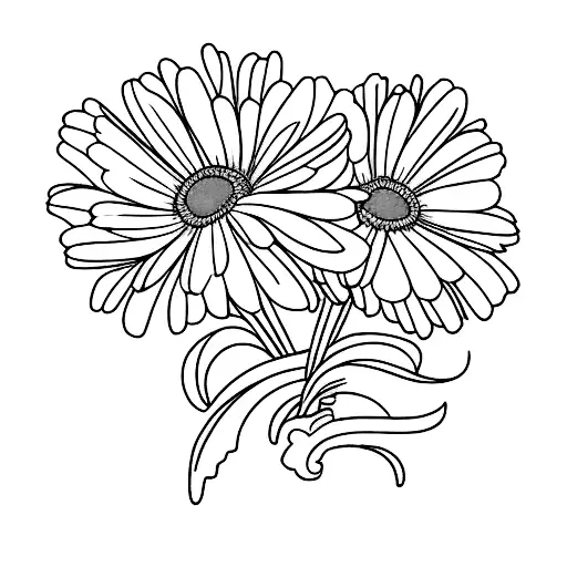 Daisy And Carnation Flowers