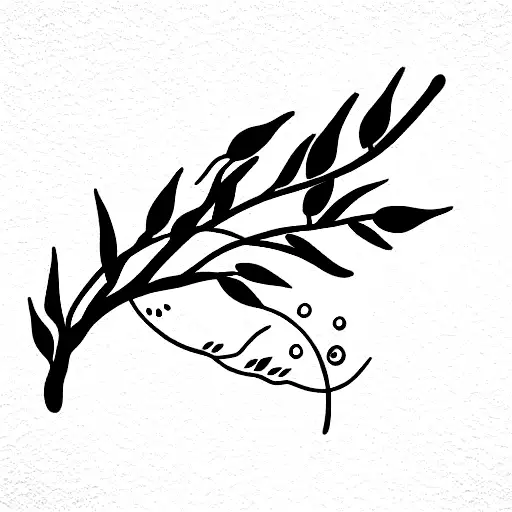 Moon Behind Olive Branch Leaves