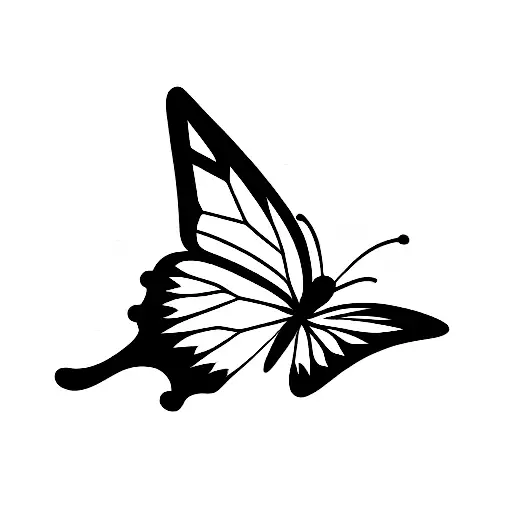 Simple Butterfly Doodle With Moon