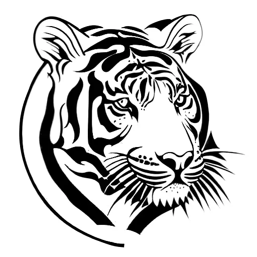 India In A Tiger