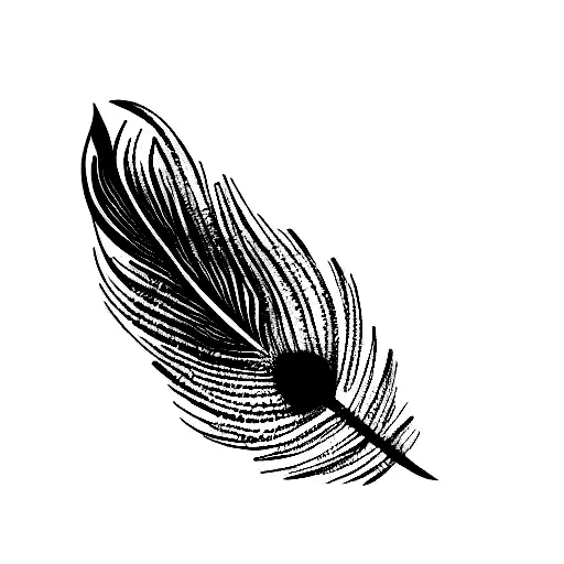 R And K Peacock Feather