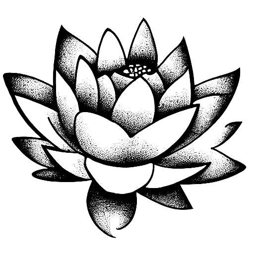 Lotus Flower