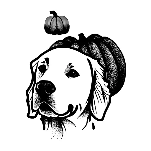 Golden Retriever With Pumpkin