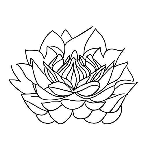 Lotus Flower