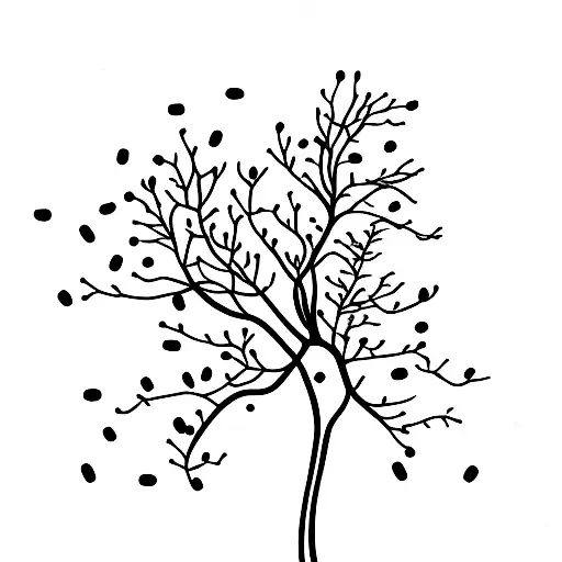 A Minimalist Tree With Intertwined Branches And Falling Coffee Beans
