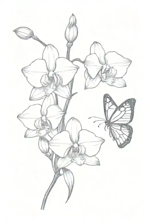 Orchid Flowers And Monarch Butter Fly