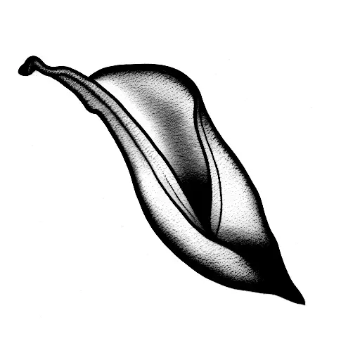 Calla Lily Simple