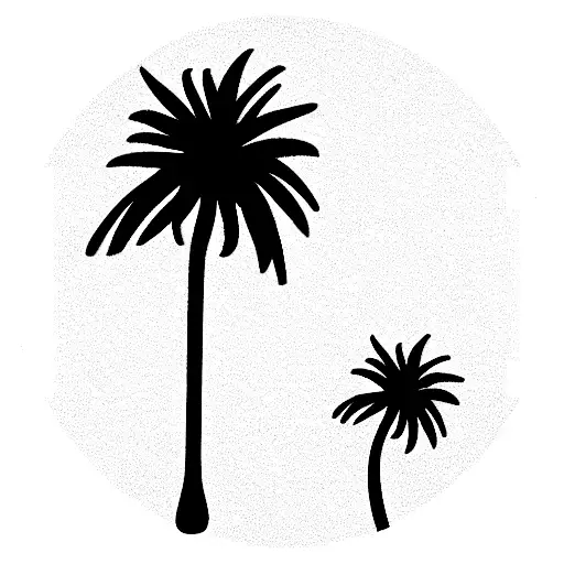 Pine Tree And Palm Tree