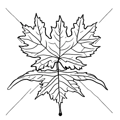 Maple Leaf