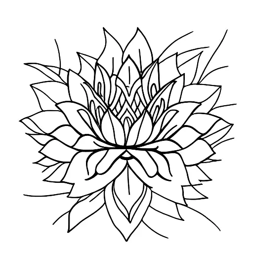 Lotus Flower