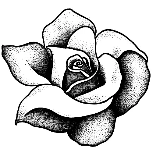 Yellow Rose Bouquet And A Single White Lily