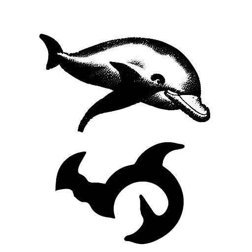 Dolphin